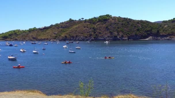 在阳光明媚的夏日 游艇停泊在湾中 划着小船缓缓驶过 — 图库视频影像