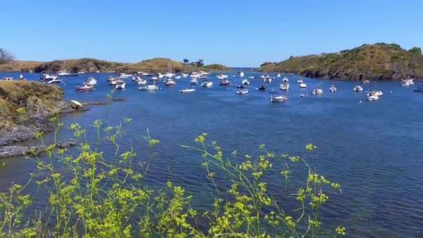 Caleta Con Pequeñas Embarcaciones Atracadas Hermosa Playa Paisaje Mediterráneo Girona — Vídeo de stock