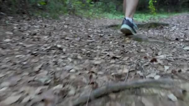 Kobiece Stopy Spacerują Leśną Ścieżką Gałęziami Liśćmi Spadającymi Drzew — Wideo stockowe