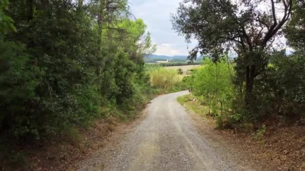 의나무들 사이에 드넓은 도로를 곡식을 재배하는 것이다 — 비디오