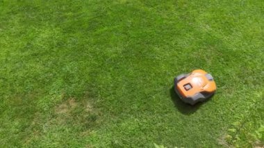 Robot çim biçme makinesi Barselona 'da yeşil bir çayırda çim biçiyor.