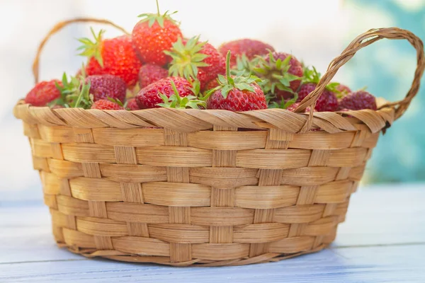 Beeren Von Roten Gartenerdbeeren Weidenkorb Werden Sommer Garten Gesammelt — Stockfoto