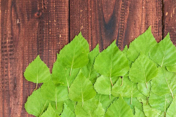 Ανοιχτόχρωμα Πράσινα Φύλλα Της Σημύδας Απλώνονται Ένα Επίπεδο Καφέ Φόντο — Φωτογραφία Αρχείου