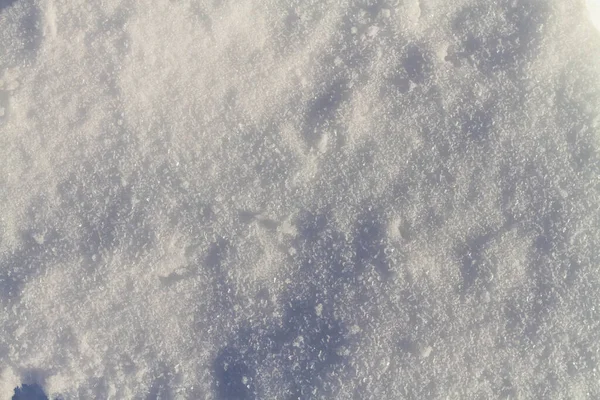 明るい冬の太陽の下で輝く雪 スペースのコピー — ストック写真