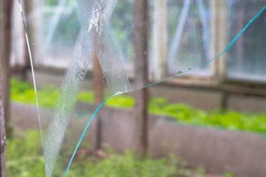 Keskin kenarı ve kırıkları olan kırık camlar..