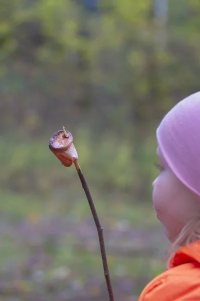 En liten flicka äter en friterad marshmallow från en kvist på en vandring i skogen på hösten — Stockfoto