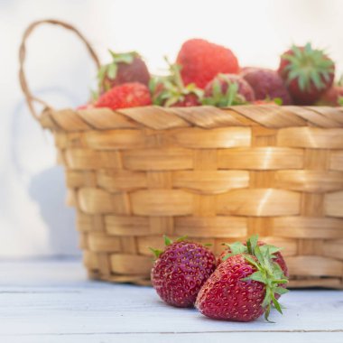 Sepette taze çilek, kırmızı çilek hasadı. Arkaplan