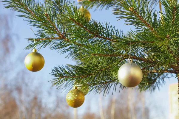 Διακοσμημένο Χριστουγεννιάτικο Δέντρο Στο Δρόμο Όμορφα Μπαλόνια — Φωτογραφία Αρχείου