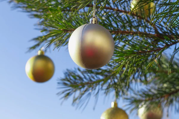 Χρυσές Μπάλες Στο Χριστουγεννιάτικο Δέντρο Χειμώνα Στο Φόντο Του Γαλάζιου — Φωτογραφία Αρχείου