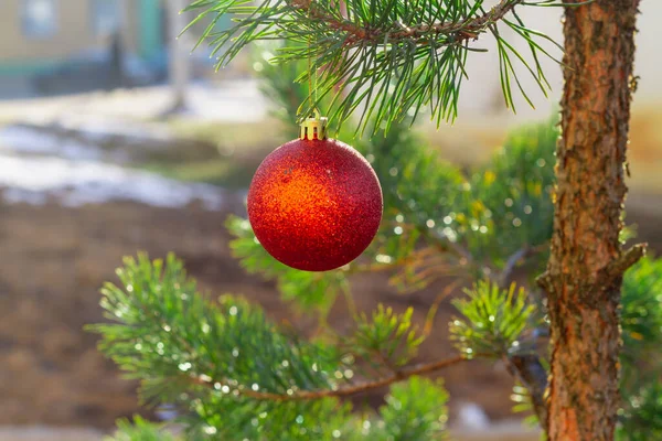 Geschmückter Weihnachtsbaum Winter Draußen Mit Roter Glänzender Weihnachtskugel — Stockfoto
