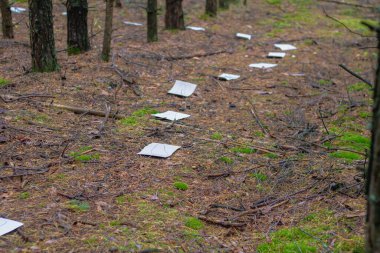 Yolu işaretlemek için ormana beyaz kağıtlar konur..