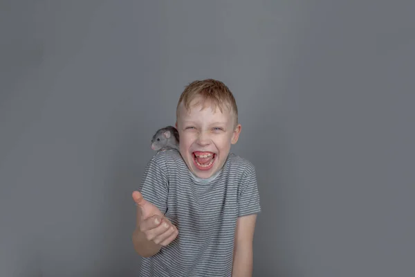 Αστείο Ξανθό Αγόρι Γελάει Ένα Γκρι Ποντίκι Στον Ώμο Του — Φωτογραφία Αρχείου