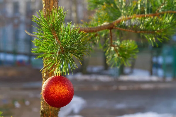 美しい赤いボールで通りに飾られたクリスマスツリー — ストック写真