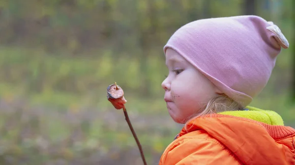 Een Klein Meisje Eet Een Gefrituurde Marshmallow Van Een Twijgje — Stockfoto