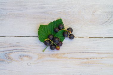 Yeşil yapraklı bir dal üzerinde siyah frenk üzümü beyaz bir ahşap masada yatıyor..