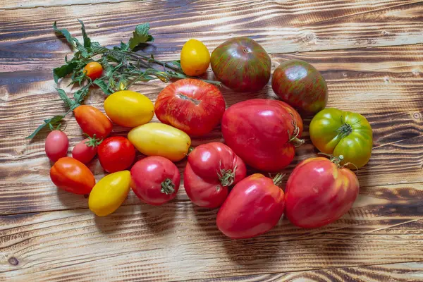 Ahşap arka planda çeşitli domatesler, sebzeler sarı, turuncu, kırmızı, siyah, yeşil.