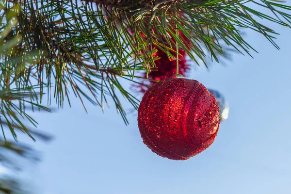 Una bola roja decora el árbol de Navidad —  Fotos de Stock