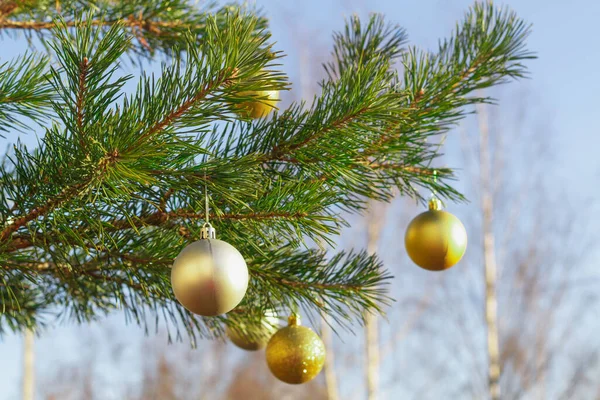 Bolas de oro en el árbol de Navidad en invierno en el fondo del cielo azul al aire libre —  Fotos de Stock