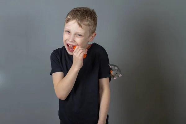 Vrolijke blanke jongen eet gezonde voedsel groenten wortelen met een huisdier grijze rat in de studio — Stockfoto