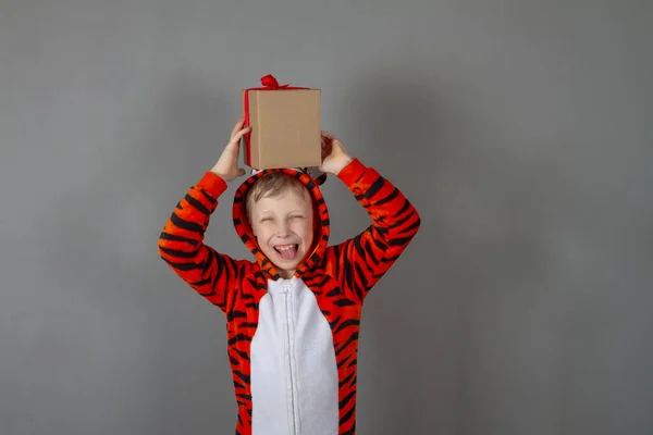 一个身穿圣诞老虎服装的快乐的白人男孩在工作室里拿着一个盒子 盒子上有一个灰色背景的圣诞礼物 — 图库照片
