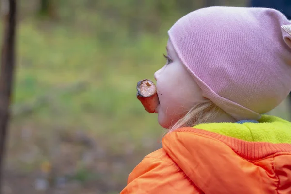 Uma Menina Come Marshmallow Queimado Galho Uma Caminhada Floresta Outono — Fotografia de Stock