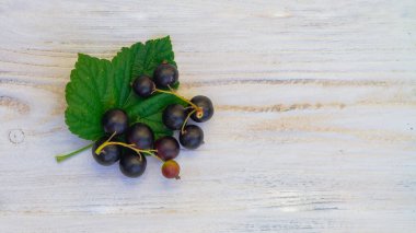 Yeşil yapraklı bir dal üzerinde siyah frenk üzümü beyaz bir ahşap masada yatıyor..