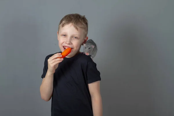 Alegre Chico Caucásico Come Alimentos Saludables Verduras Zanahorias Con Una —  Fotos de Stock