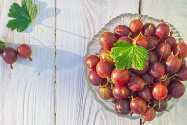 Ripe red gooseberries in a plate, gooseberry harvest, ripe red gooseberry berries on a white wooden table in the garden in summer. clipart