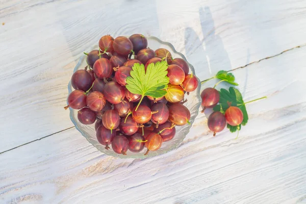 Bir tabakta olgun kırmızı bektaşi üzümü, bektaşi üzümü hasadı, yazın bahçedeki beyaz ahşap bir masada olgun kırmızı Bektaşi üzümü..
