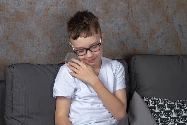 一个戴眼镜的白人少年爱抚他的灰色宠物鼠 并把它放在他的手里 — 图库照片