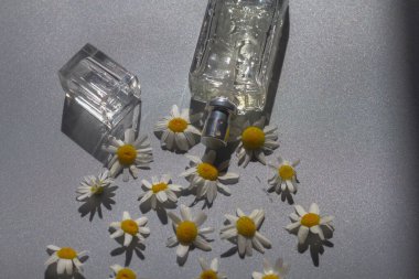 Papatya esansı, papatya çiçeğiyle dolu cam bir şişede..