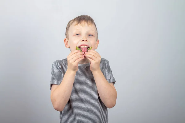 Ένα Καυκάσιο Αγόρι Τρώει Πράσινα Ακτινίδια Και Γελάει Και Χαμογελάει — Φωτογραφία Αρχείου
