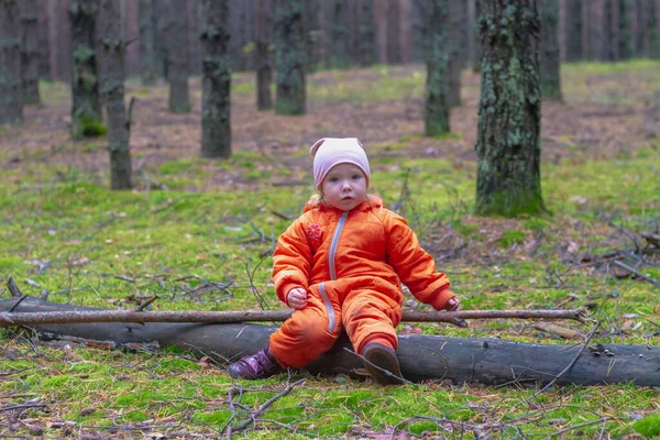 Bebê Caucasiano Menina Está Descansando Floresta Outono Uma Criança Está — Fotografia de Stock