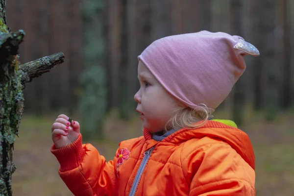 Kleine Kaukasierin Studiert Die Natur Untersucht Die Rinde Eines Baumes — Stockfoto