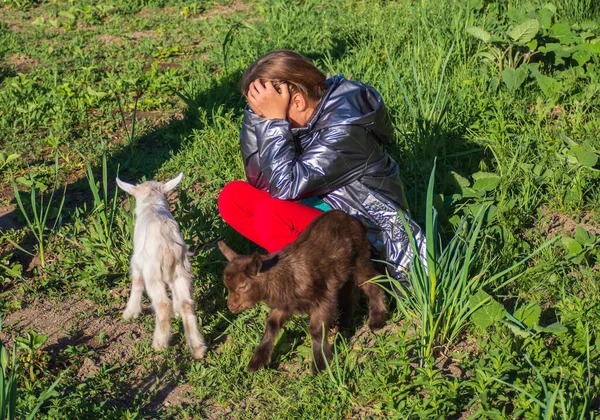 Kız Kafasını Kavradı Keçilerle Yapacağını Bilemedi Genç Bir Kız Yeşil — Stok fotoğraf