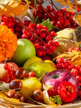 Çeşitli taze organik meyvelerden oluşan bir bileşim.