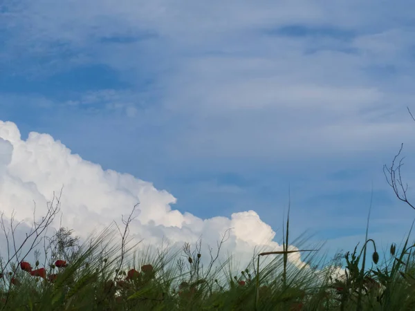 Pemandangan Indah Langit Biru Dengan Awan Putih Besar Atas Lapangan — Stok Foto