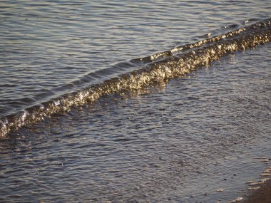 Kumlu bir sahilde yumuşak bir okyanus dalgası. Denizin kıyı dalgası kumlu kıyıya yuvarlanıyor. Enfes bir arka plan. Güneşin altında güzel bir dalga.