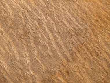 Arka plan için ahşap kontrplak dokusu yakın plan. Açık sarı doğal ahşap arkaplan.