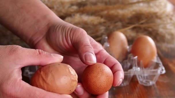 Deforme Olmuş Bir Tavuk Yumurtasının Yakından Görüntüsü Sağ Yumurtaya Kıyasla — Stok video