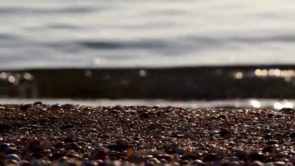 Kusten Kantad Snäckskal Och Sand Ofokuserade Havsvågor Slog Mot Stranden — Stockvideo