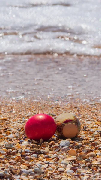 Colorate Uova Pasqua Circondate Conchiglie Una Spiaggia Oceanica Sullo Sfondo — Foto Stock