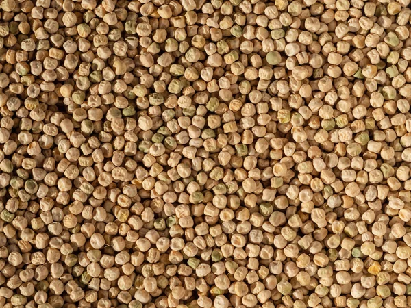 The natural food background is dried peas. Organic Dried Raw Peas as Background.