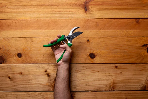 Hand Grabbing Pruning Shears Light Wooden Background Labor Day — Stock Photo, Image
