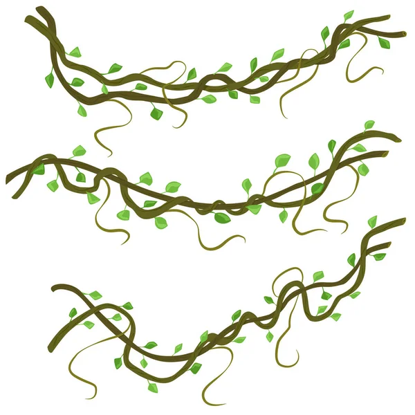 リアナの枝を織るセット デザイン要素 白い背景に隔離されたフラットベクトルイラスト — ストックベクタ