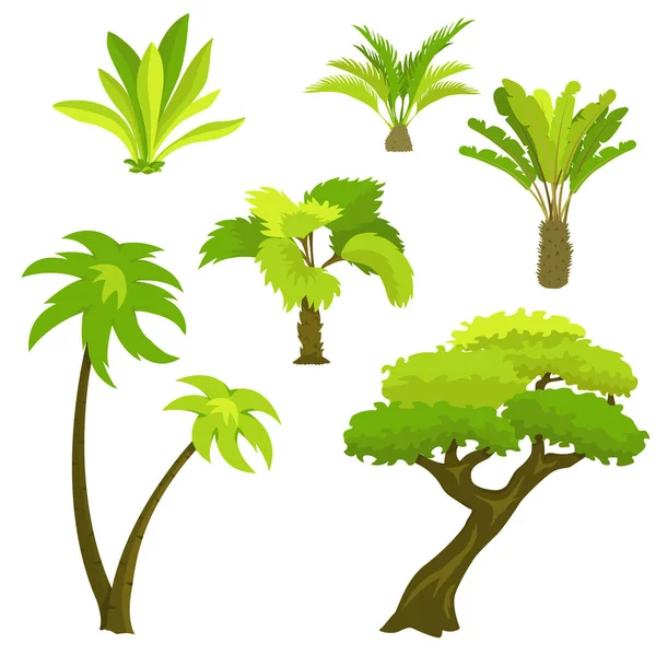 Palmiers Plantes Tropicales Icônes Végétation Ensemble Illustration Vectorielle Isolée Sur — Image vectorielle