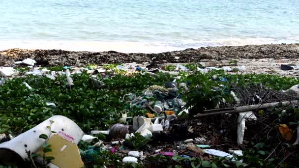 Landskap av förorenad strand full av skräp och hav på bakgrunden — Stockvideo