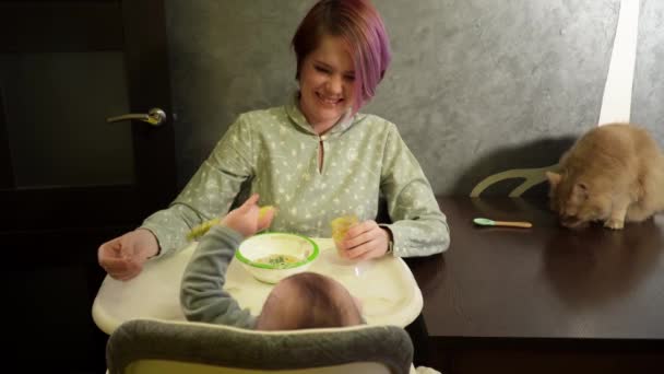 Die junge Frau sitzt in der Küche und füttert ihr Baby mit Püree, während der Sohn den Löffel fängt — Stockvideo