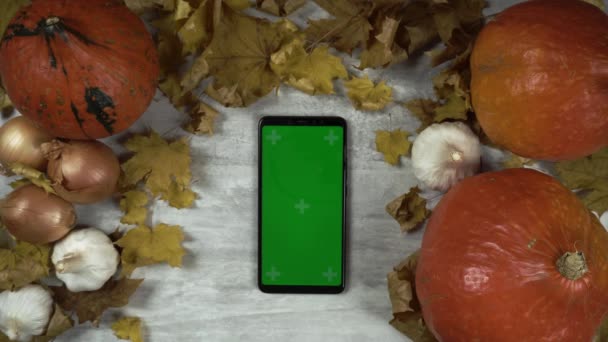 Há um telefone chave chroma na orientação vertical entre a composição do outono e senhora que clica sobre ele — Vídeo de Stock