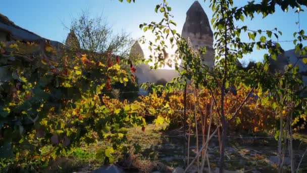Visa på Cappadocia stenar filmade genom växterna vid varm sommarkväll vid solnedgången — Stockvideo